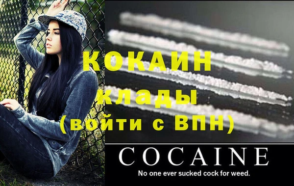 амф Алзамай