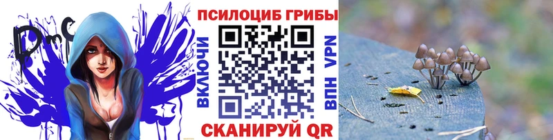 купить наркоту Печоры Галлюциногенные грибы мухоморы
